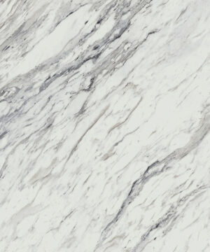 Omega Modern Calcutta Marble
